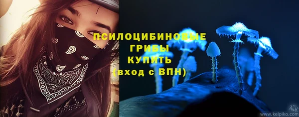 ешки Алзамай