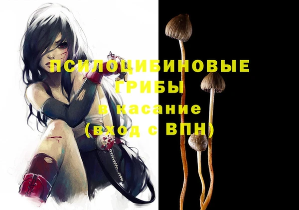 ешки Алзамай