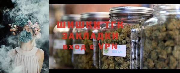 ешки Алзамай